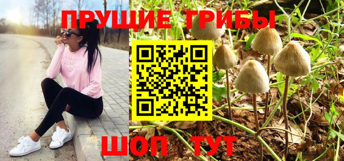 Казань  Псилоцибиновые грибы мицелий  Вход с VPN 